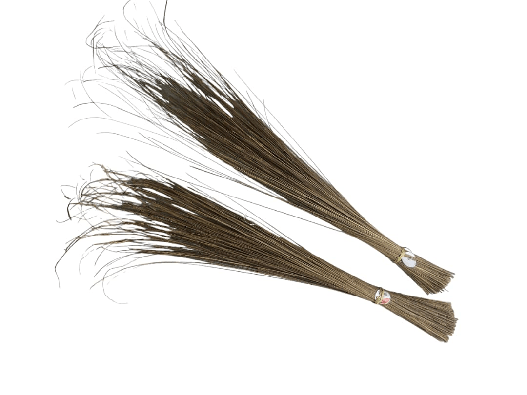 Twig Broom